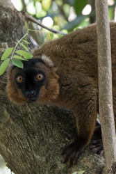 Madagascar 2022